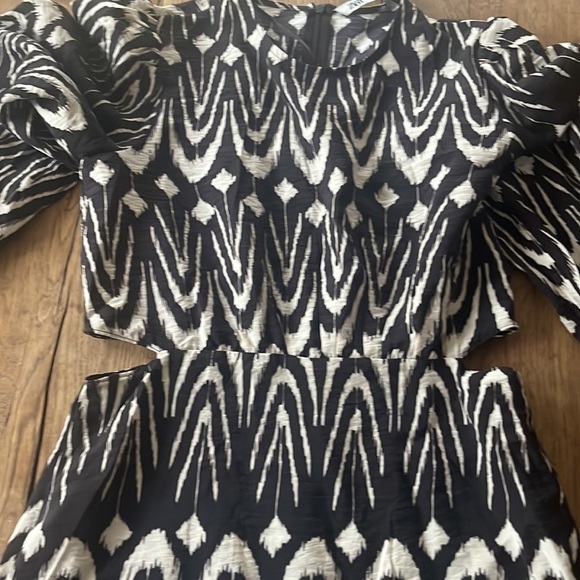 Zara Dress - Picture 4 of 16